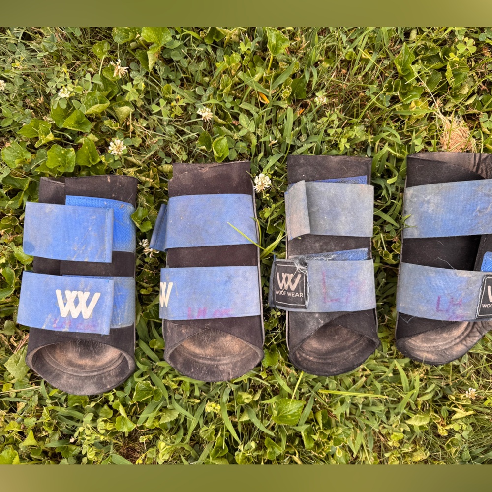 Woof wear medium set of 4 blue